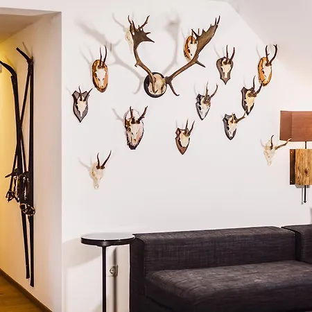 Kitz Residenz By Alpin